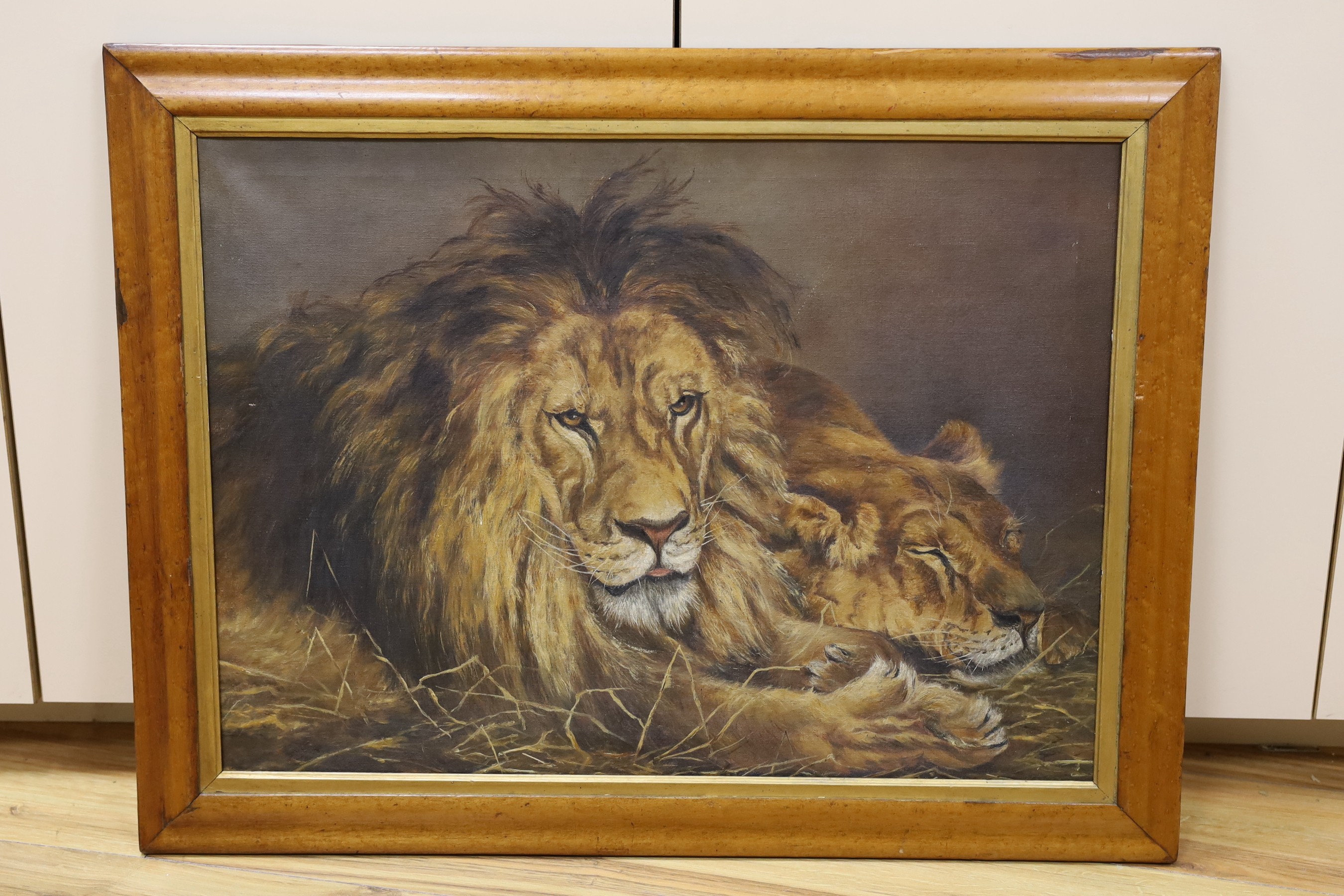 After Géza Vastagh (Hungarian, 1866-1919), oil on canvas, The lions, 48 x 65cm